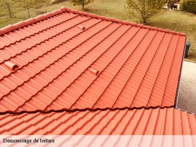 Photo de couverture de Couvreur 31 - Couvreur Toulouse - Fuite toiture